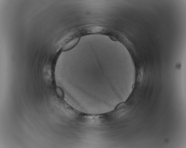 X0000113950524200911061306