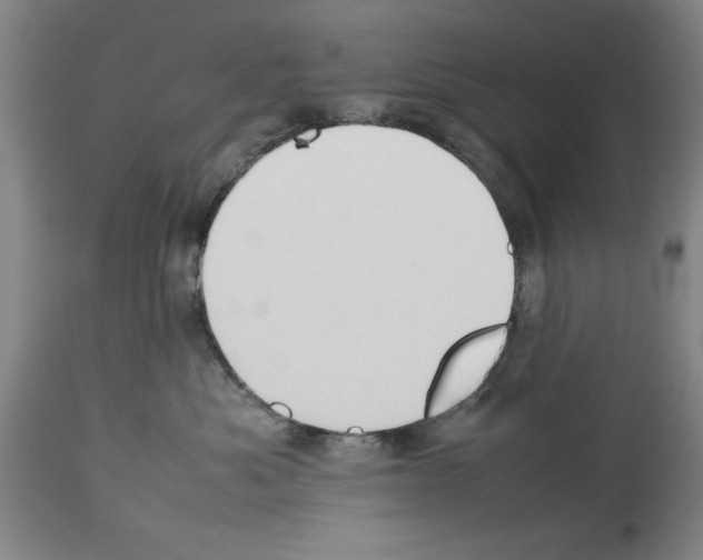 X0000113950525200911061306