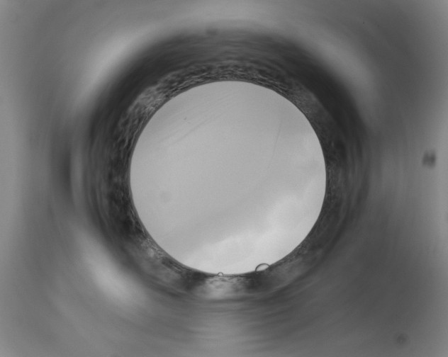 X0000113950526200911061306