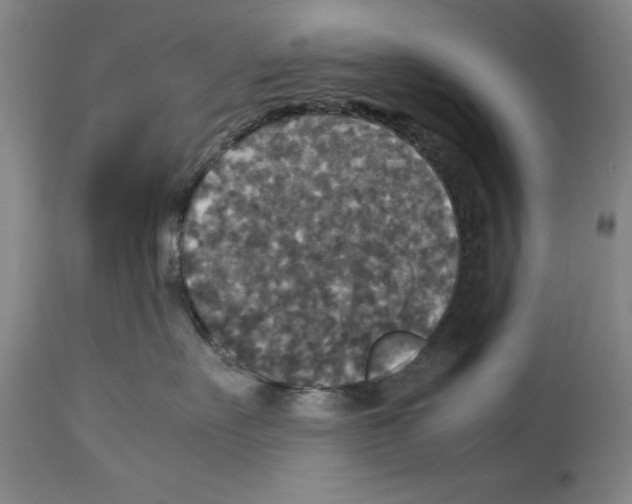 X0000113950527200911061306