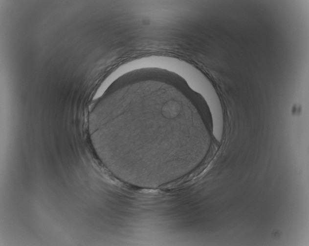 X0000113950528200911061306