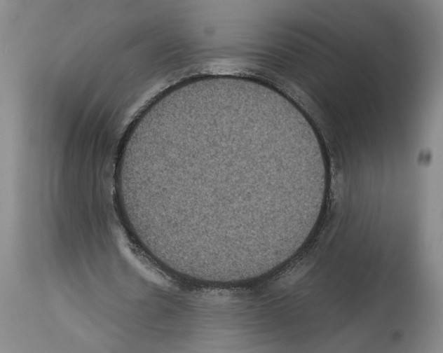X0000113950530200911061305