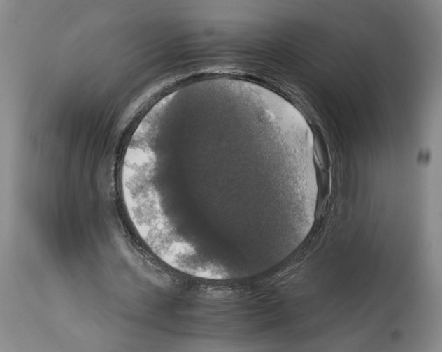 X0000113950531200911061305