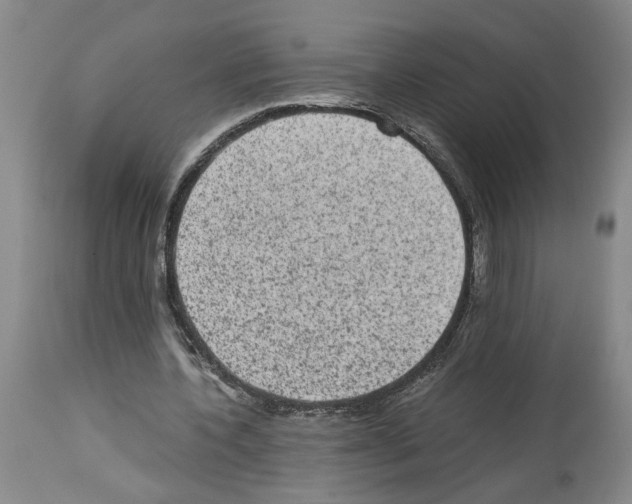 X0000113950532200911061305