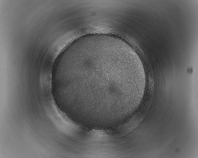 X0000113950534200911061305