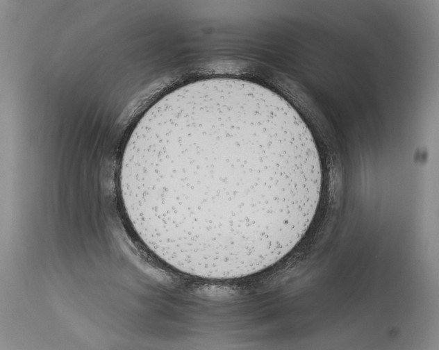 X0000113950537200911061305