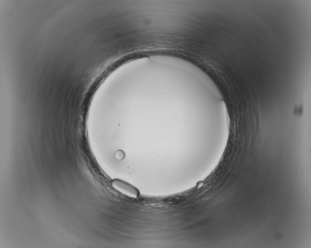 X0000113950540200911061306