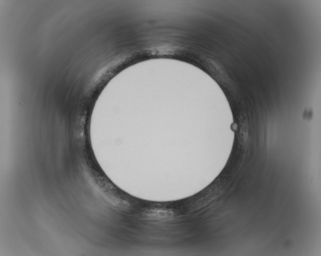 X0000113950543200911061306