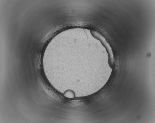 X0000113950544200911061306