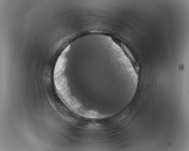 X0000113950547200911061306