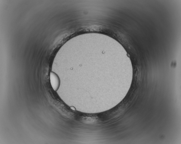 X0000113950548200911061306
