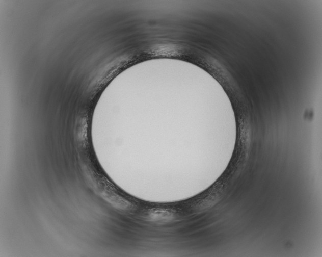 X0000113950549200911061306