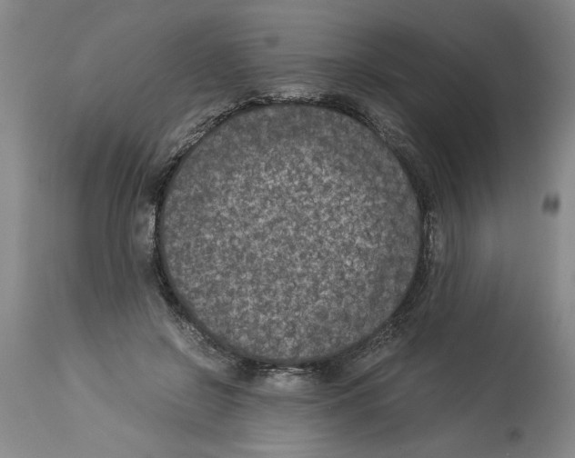 X0000113950550200911061306