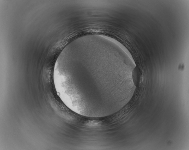X0000113950551200911061306