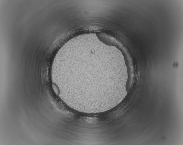 X0000113950552200911061306