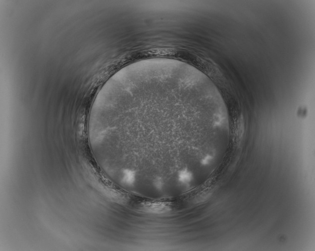 X0000113950553200911061306