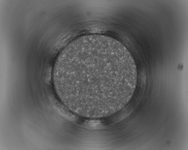 X0000113950554200911061306
