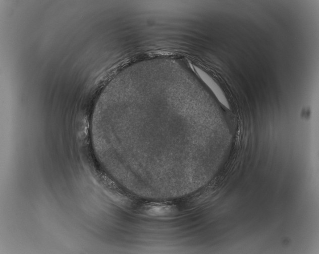 X0000113950555200911061306