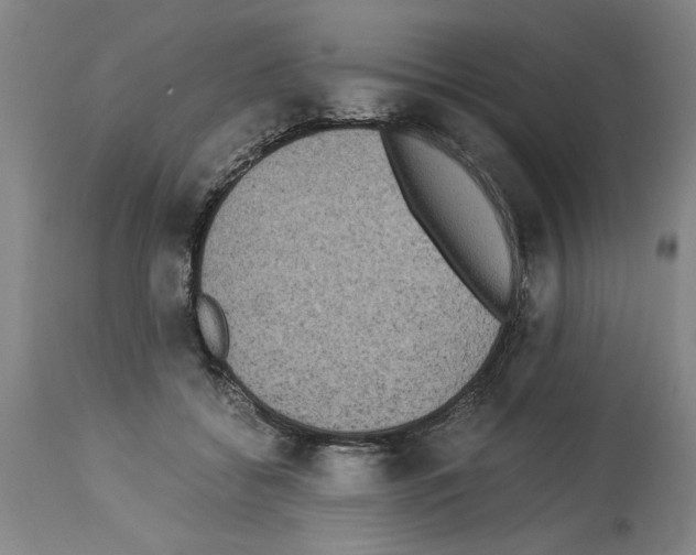 X0000113950556200911061306
