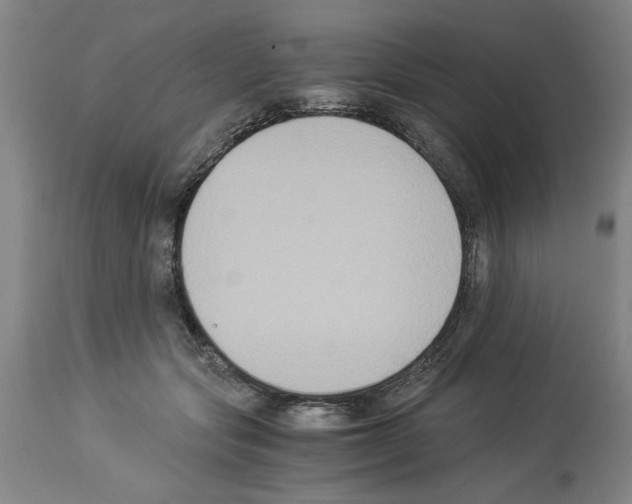 X0000113950557200911061306