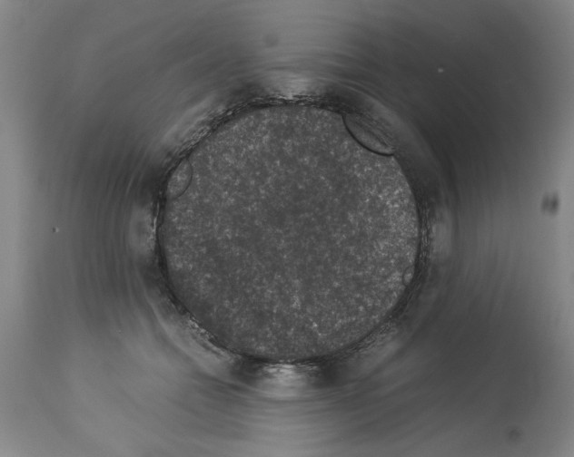 X0000113950558200911061306