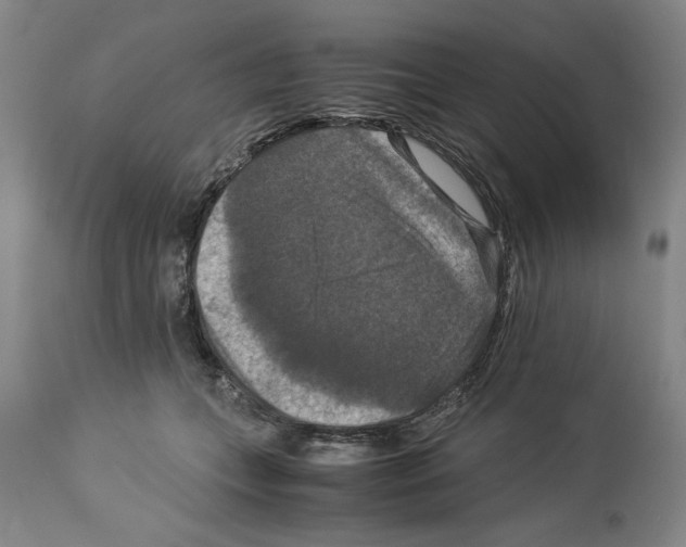 X0000113950559200911061306