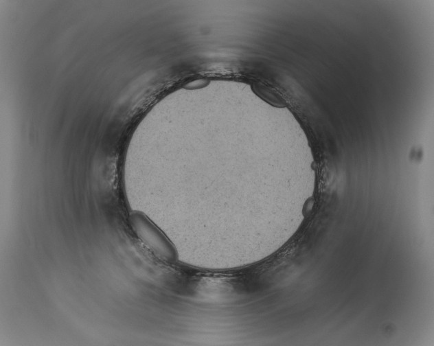X0000113950560200911061306