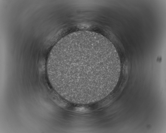 X0000113950561200911061306
