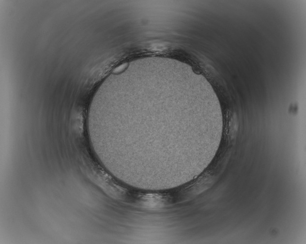 X0000113950562200911061306