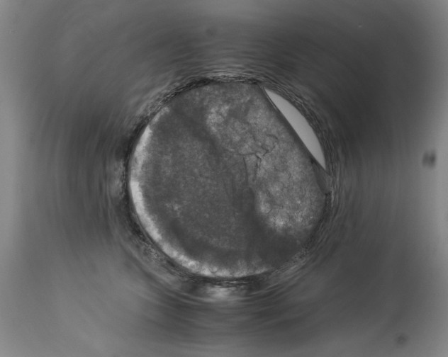 X0000113950563200911061306