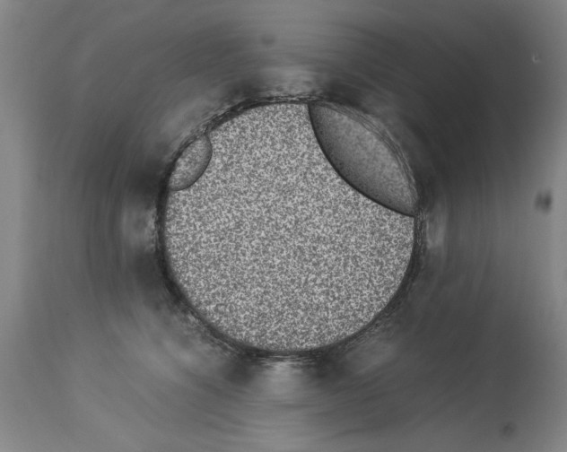 X0000113950564200911061306