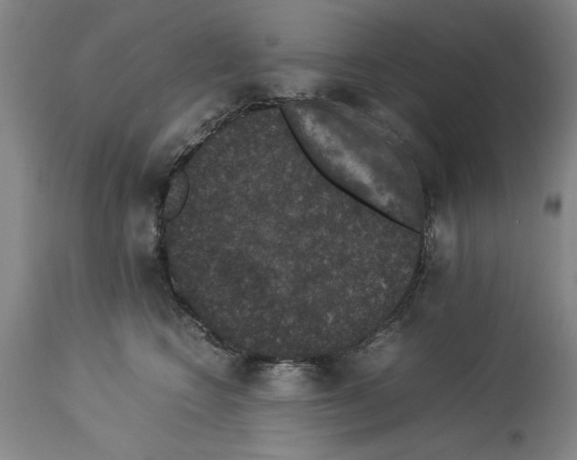 X0000113950566200911061306
