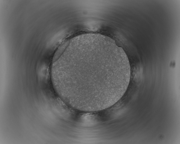 X0000113950568200911061306