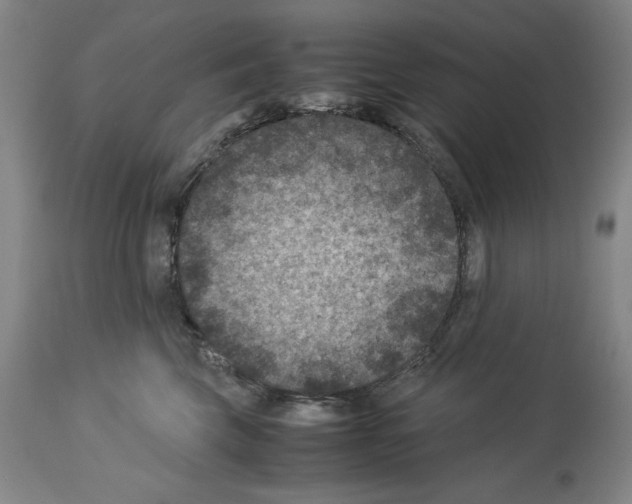 X0000113950569200911061306