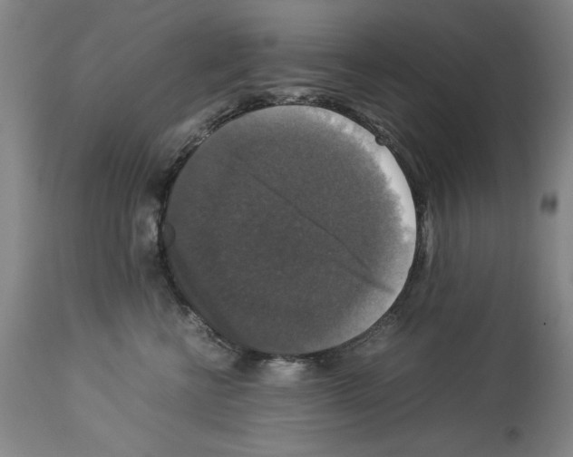 X0000113950570200911061306