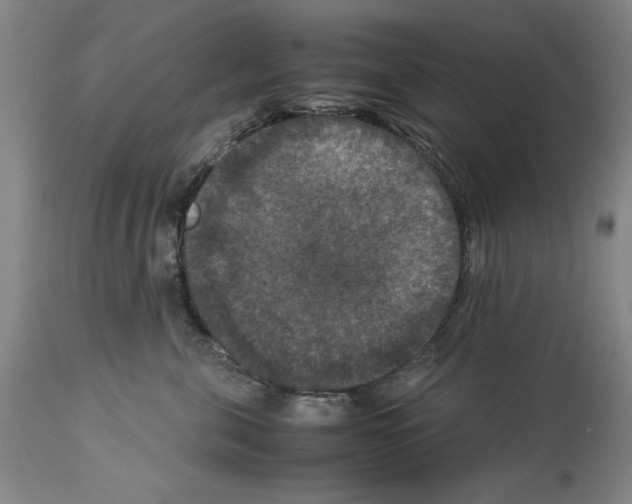 X0000113950571200911061306