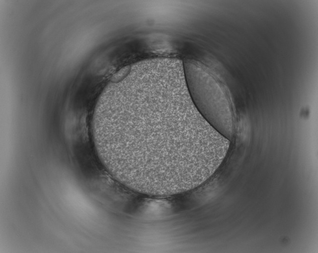 X0000113950572200911061306