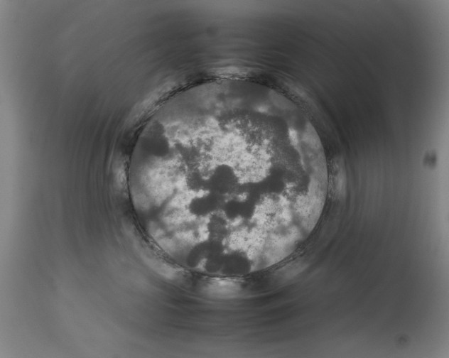 X0000113950573200911061306