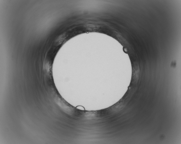 X0000113950574200911061306