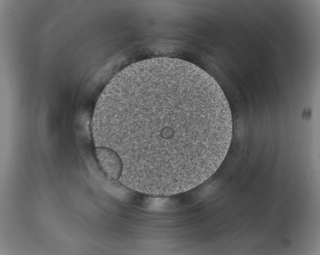 X0000113950575200911061306