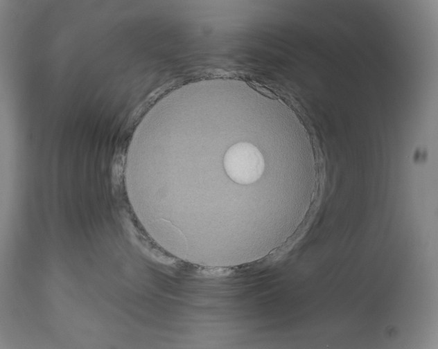 X0000113950576200911061306