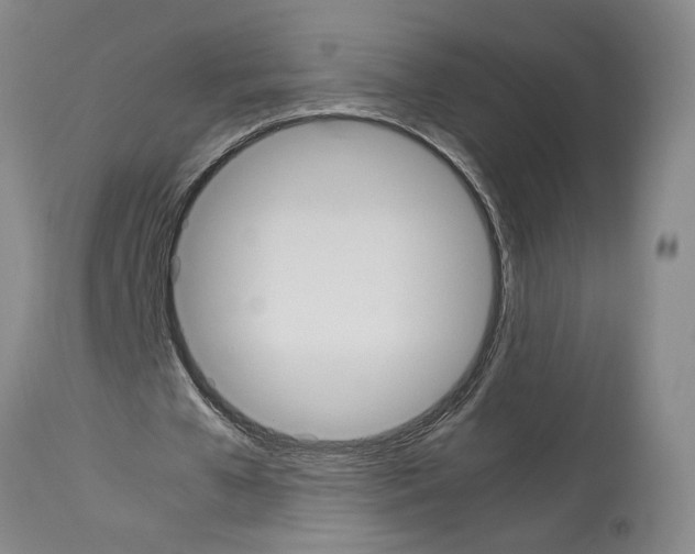 X0000113950577200911061305