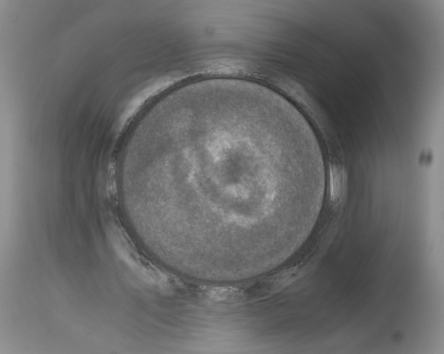 X0000113950579200911061305