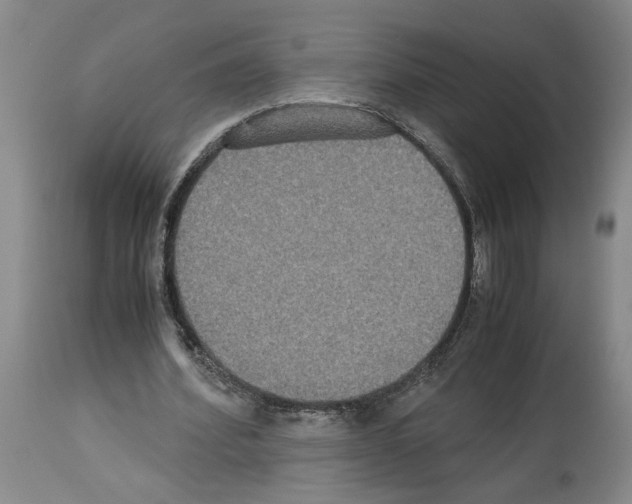 X0000113950580200911061305