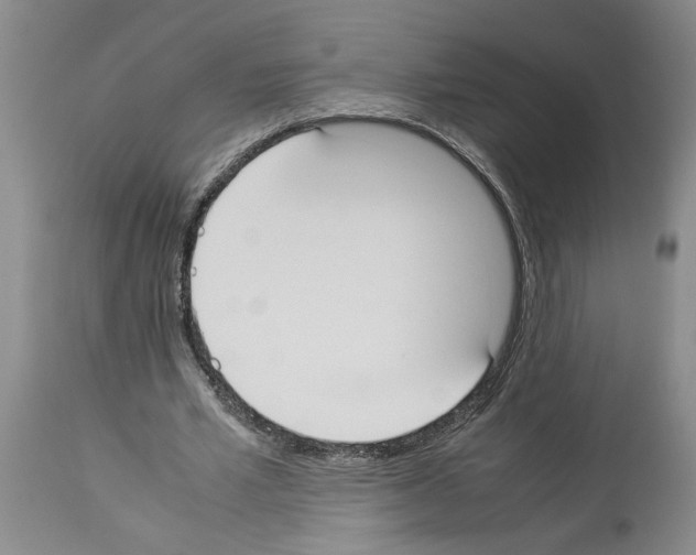 X0000113950581200911061305