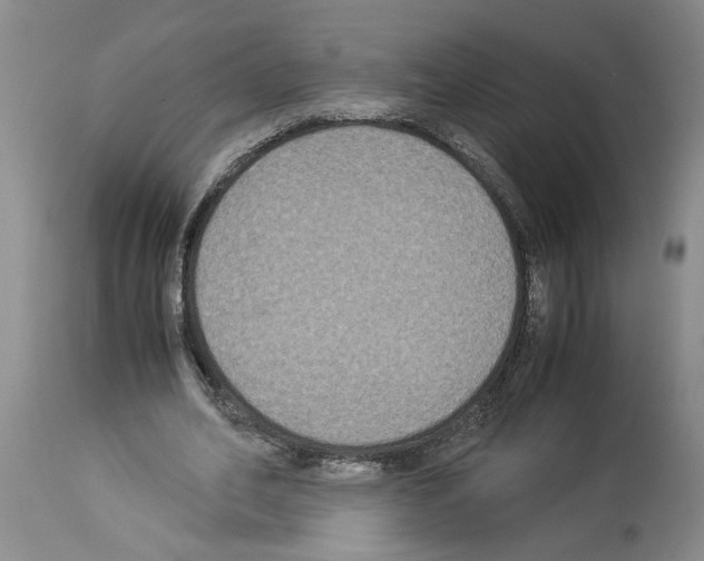 X0000113950582200911061305
