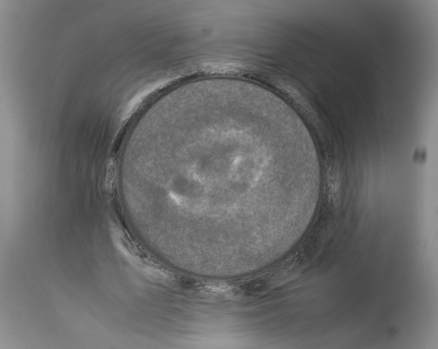 X0000113950583200911061305