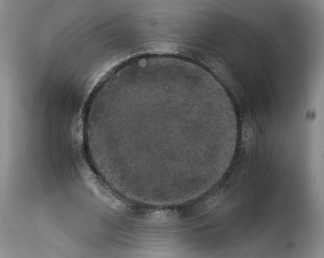 X0000113950584200911061305