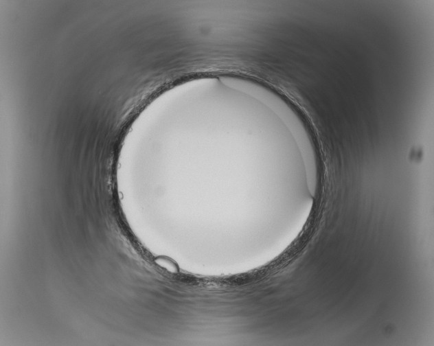 X0000113950585200911061305