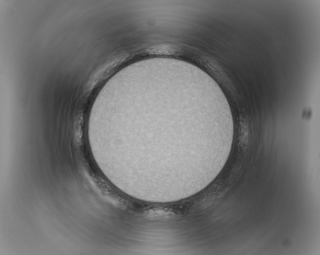 X0000113950586200911061305